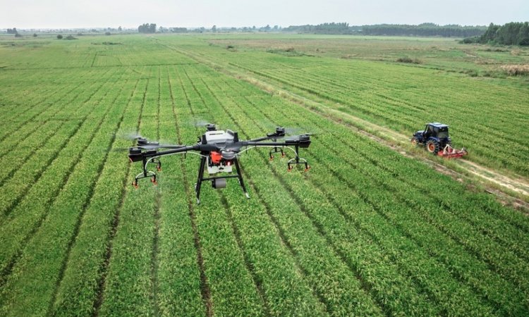 Reforma tributária: texto autoriza três dos estados mais 'agro' do país a criar imposto sobre produção