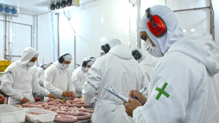 Abertura de mercado leva carne suína gaúcha para a República Dominicana