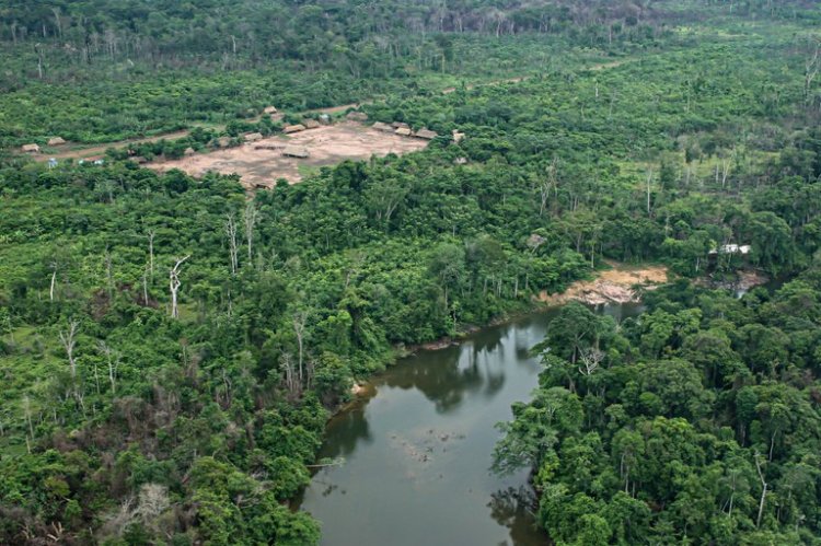 Terras Indígenas tiveram menos de 1% de sua área de vegetação nativa desmatada em 38 anos