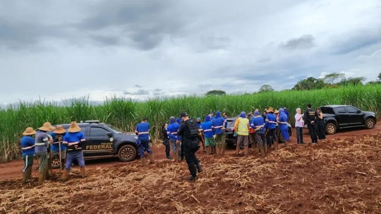 Brasil resgatou 918 vítimas de trabalho escravo em 2023, recorde para um 1º trimestre em 15 anos