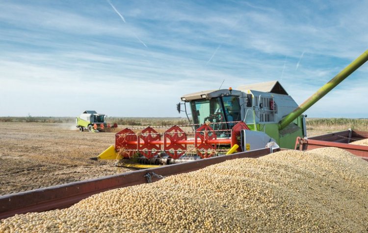 Exportações do agronegócio registram receita recorde de US$ 82,8 bi no 1º semestre