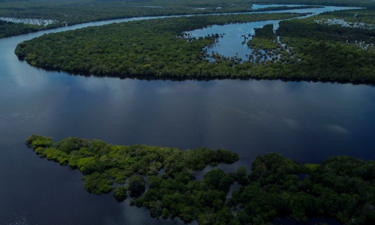 Ocupantes de helicóptero que desapareceu há 3 dias na Amazônia são encontrados com vida